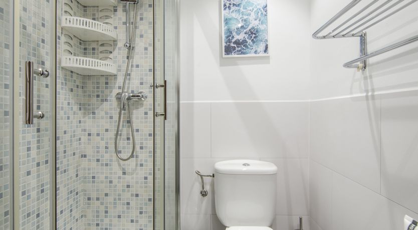 Photo of Blue Magnolia