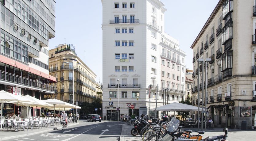 Photo of Blue Magnolia