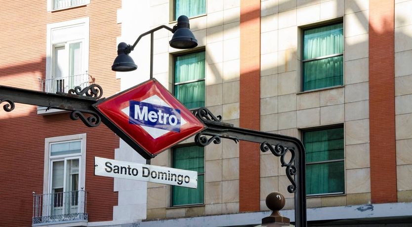 Photo of Blue Magnolia