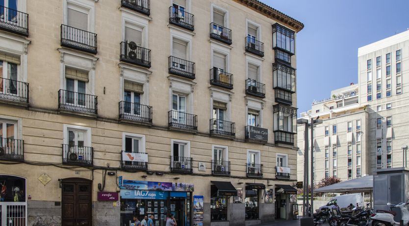 Photo of Blue Magnolia