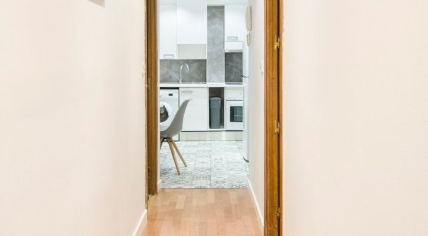 Photo of Blue Magnolia