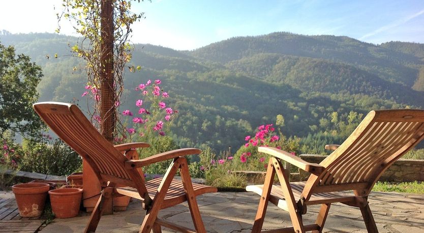 Photo of Floral Symphony