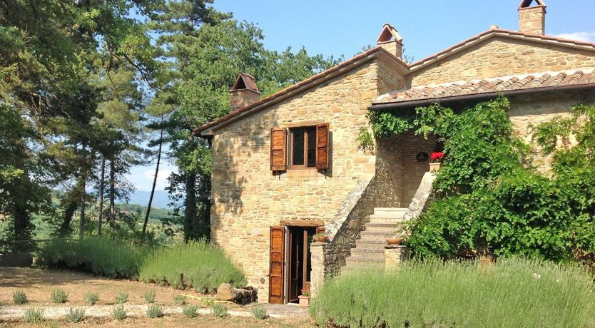 Photo of Floral Symphony