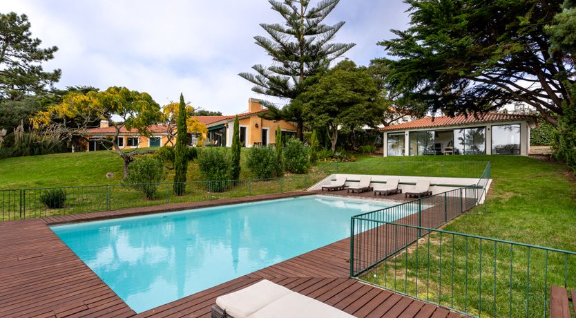 Photo of Port Lemonade