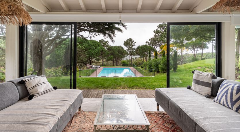 Photo of Port Lemonade