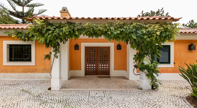 Photo of Port Lemonade