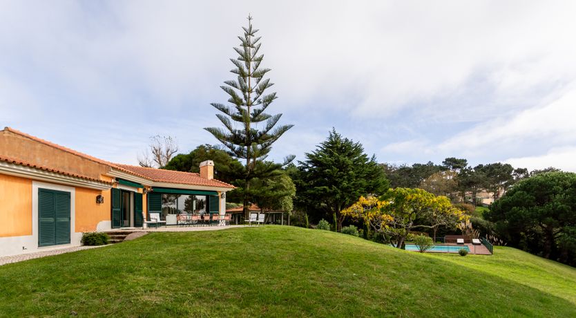 Photo of Port Lemonade