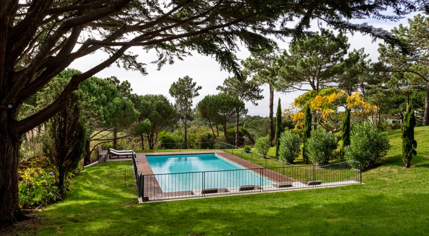 Photo of Port Lemonade