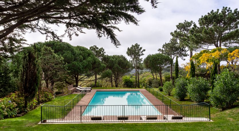 Photo of Port Lemonade