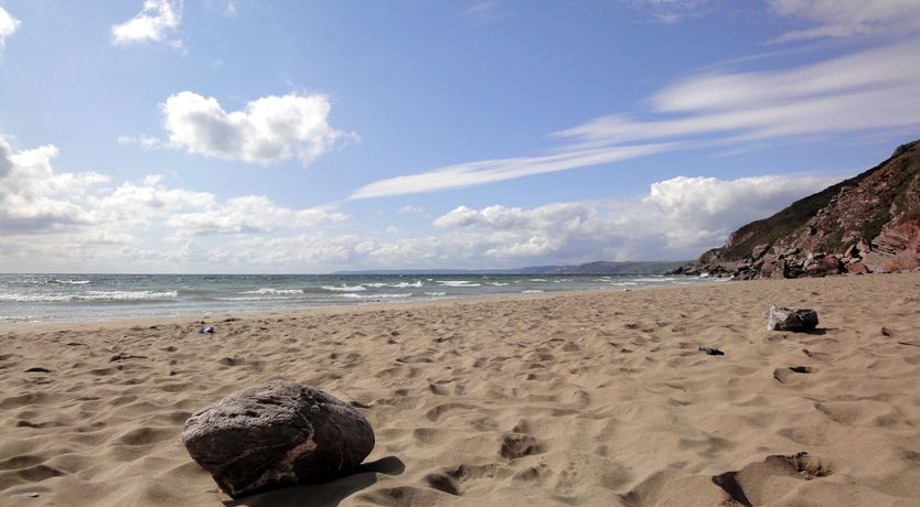 Photo of Seagulls Nest
