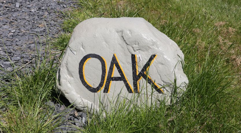 Photo of Oak