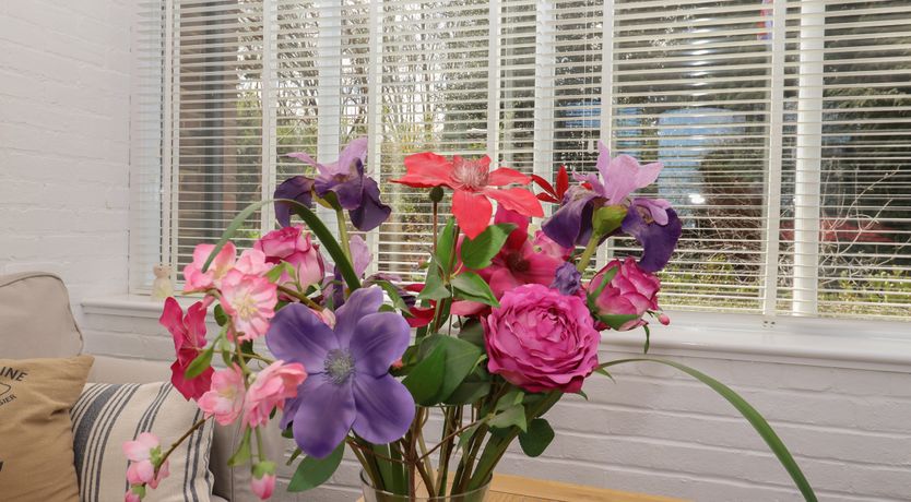 Photo of Paddock View