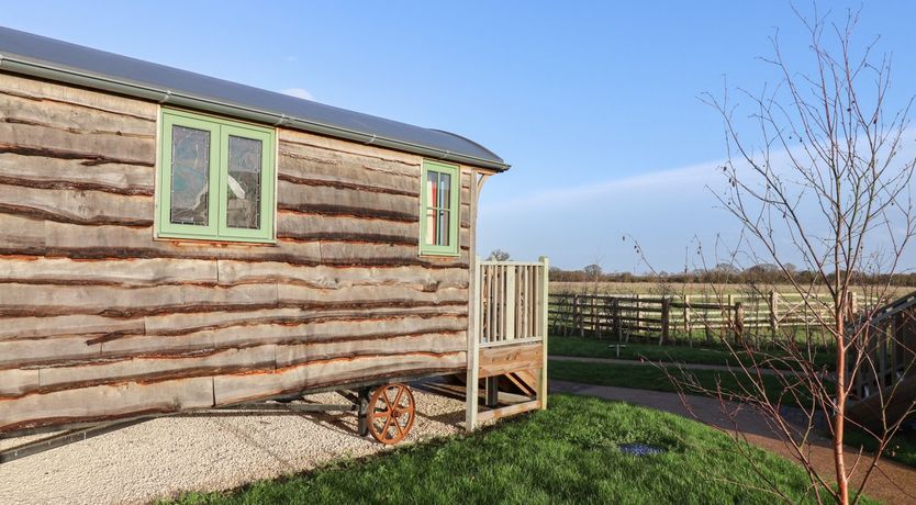 Photo of The Egyptologist