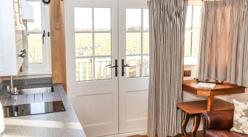 Photo of The Egyptologist