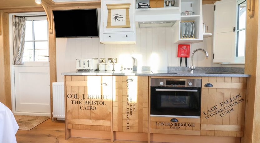 Photo of The Egyptologist