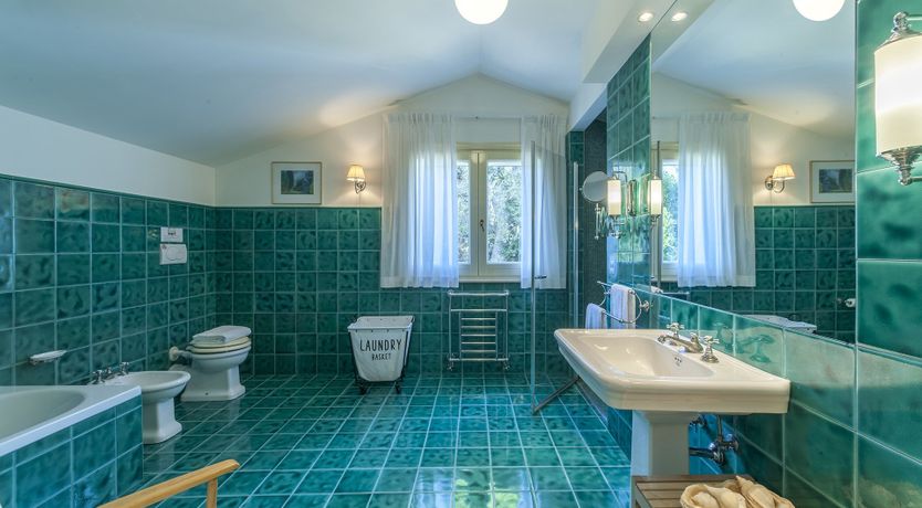 Photo of Adriatic Oleander