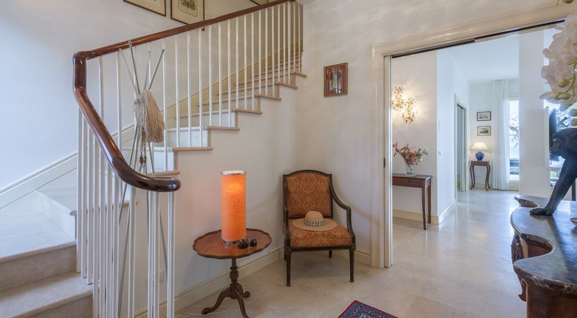 Photo of Adriatic Oleander