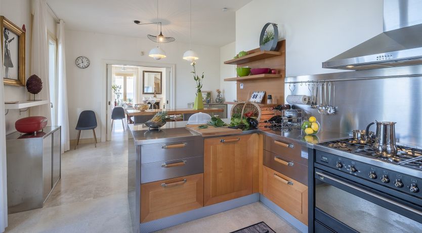 Photo of Adriatic Oleander