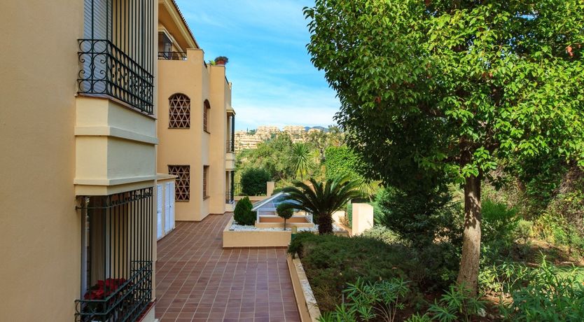 Photo of Sugared Peaches