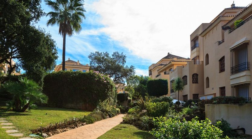 Photo of Sugared Peaches