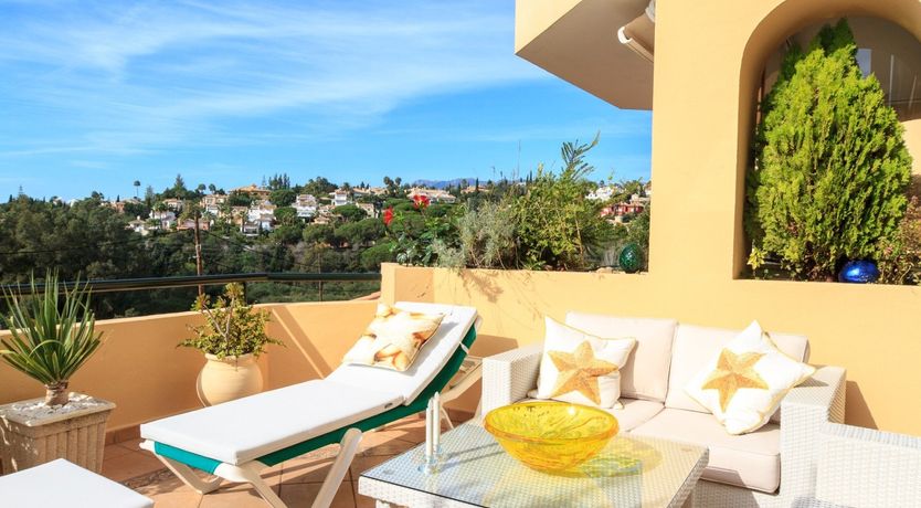 Photo of Sugared Peaches