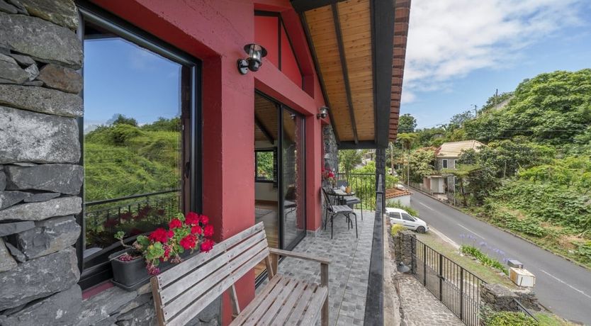 Photo of Rose in Paradise