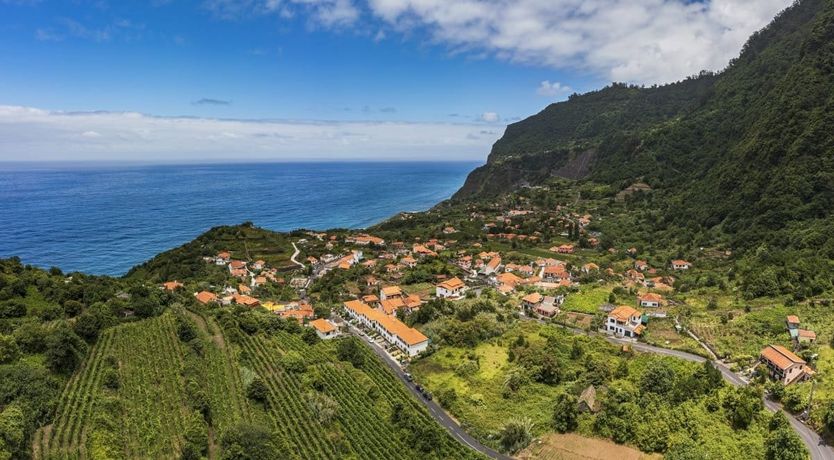 Photo of Rose in Paradise