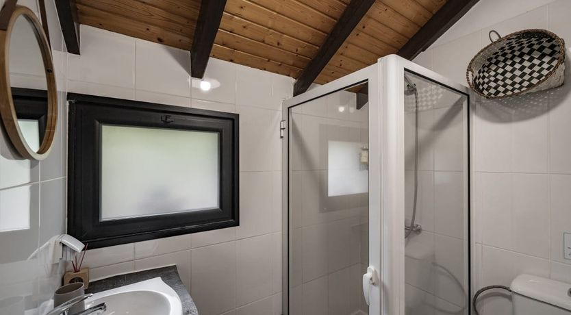 Photo of Rose in Paradise