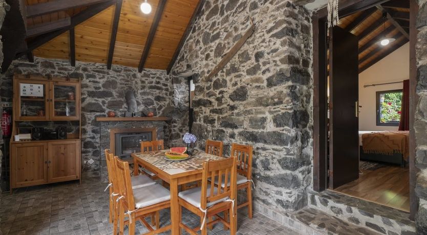 Photo of Rose in Paradise