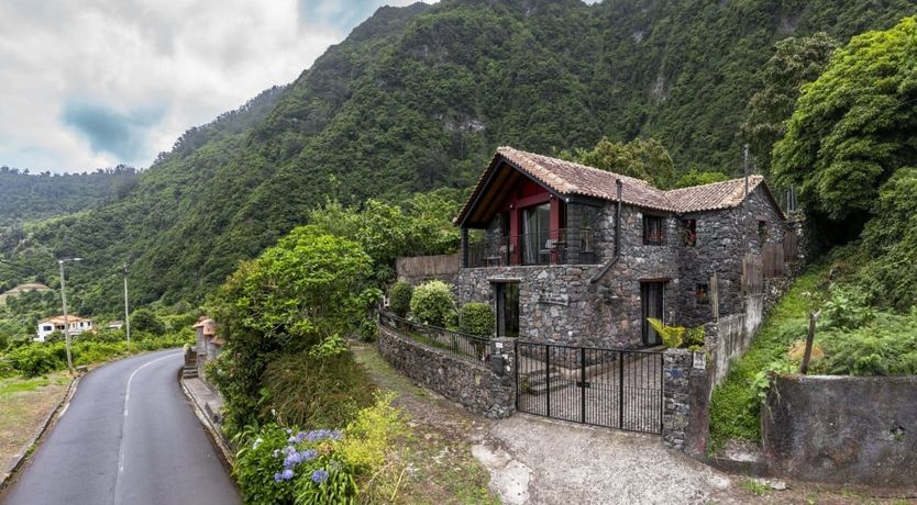 Photo of Rose in Paradise