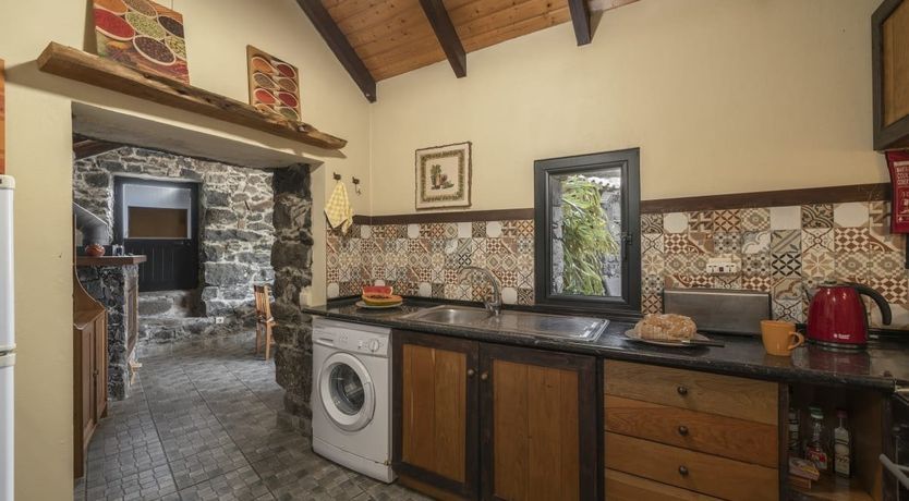 Photo of Rose in Paradise