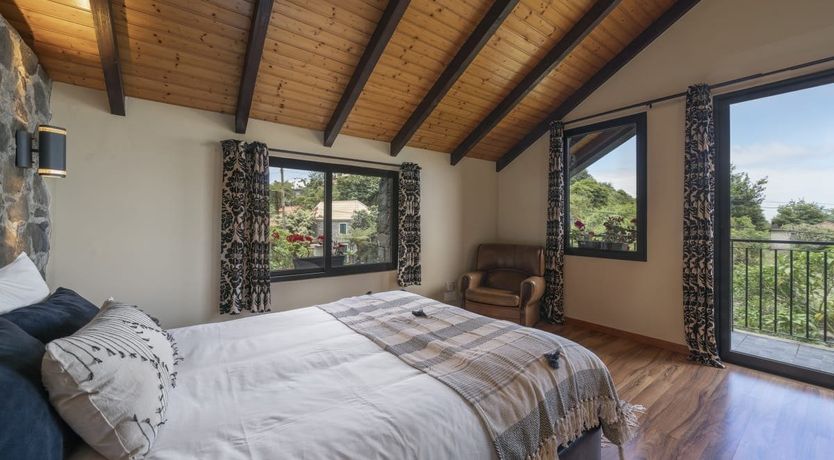 Photo of Rose in Paradise