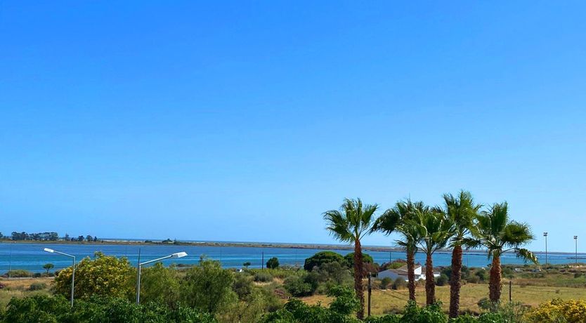 Photo of Poolside Tranquility