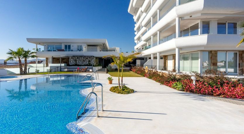 Photo of Maritime Ferns