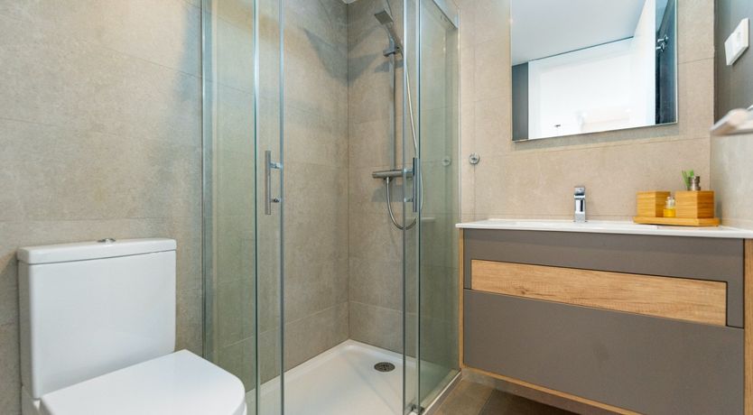 Photo of Maritime Ferns