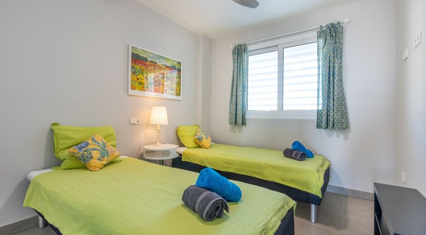 Photo of Maritime Ferns