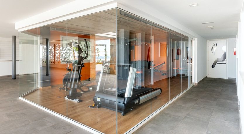 Photo of Maritime Ferns