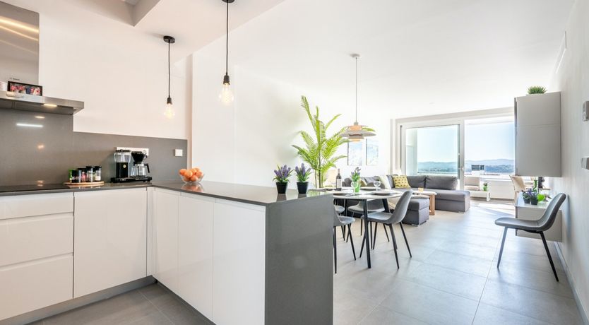 Photo of Maritime Ferns