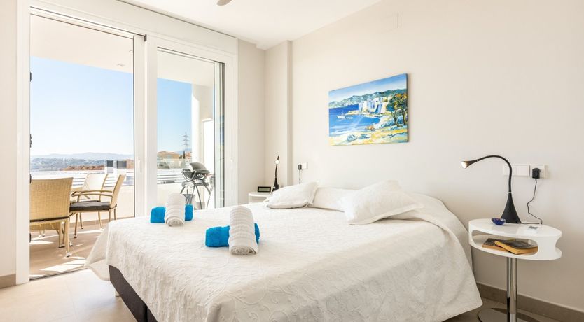 Photo of Maritime Ferns