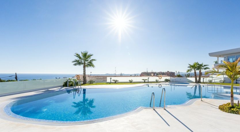 Photo of Maritime Ferns