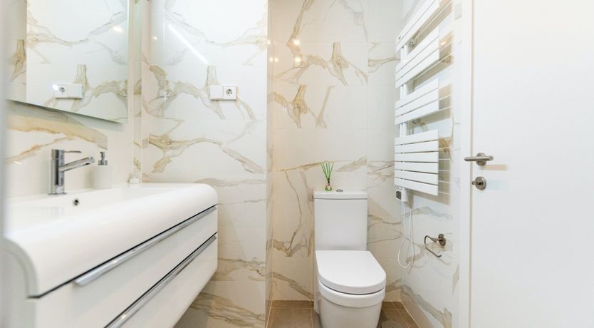 Photo of Maritime Ferns