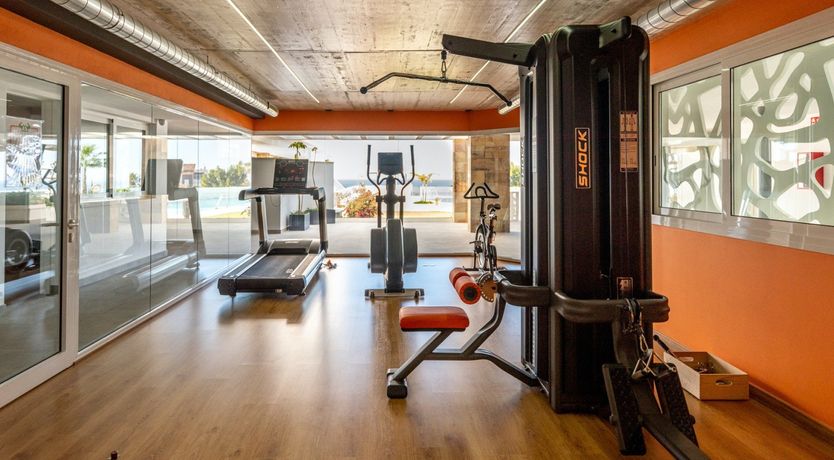 Photo of Maritime Ferns