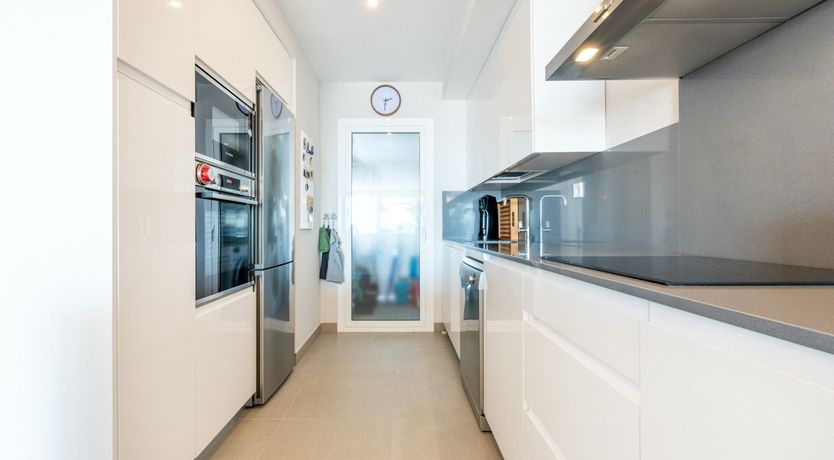 Photo of Maritime Ferns