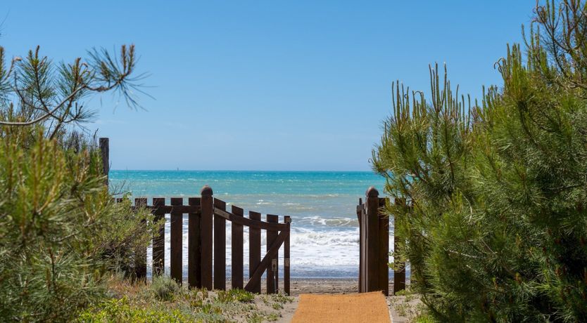 Photo of The Mandarin Path