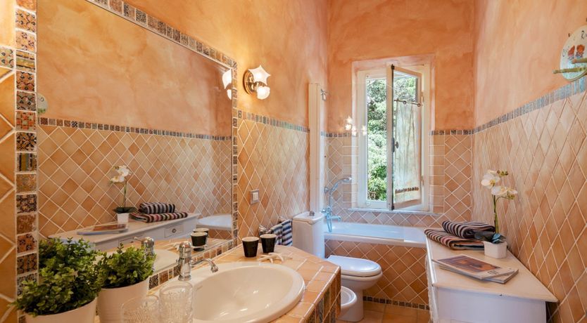 Photo of The Mandarin Path