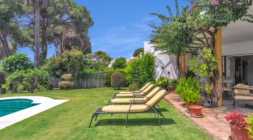 Photo of Andalusian Citrus