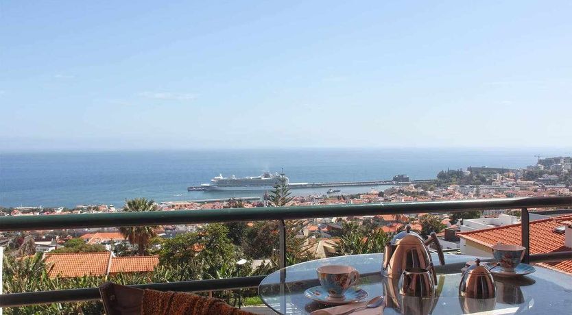 Photo of Red Crown Crane