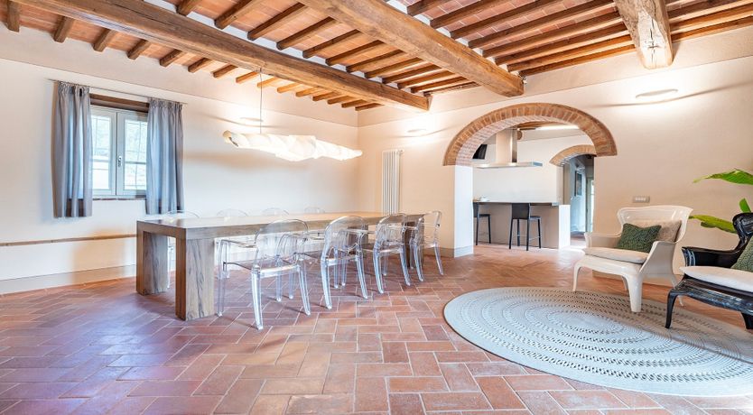 Photo of Fig Trees in Tuscany