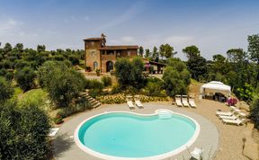 Photo of Fig Trees in Tuscany