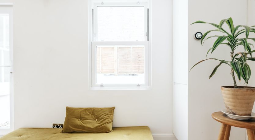 Photo of Creative Soul